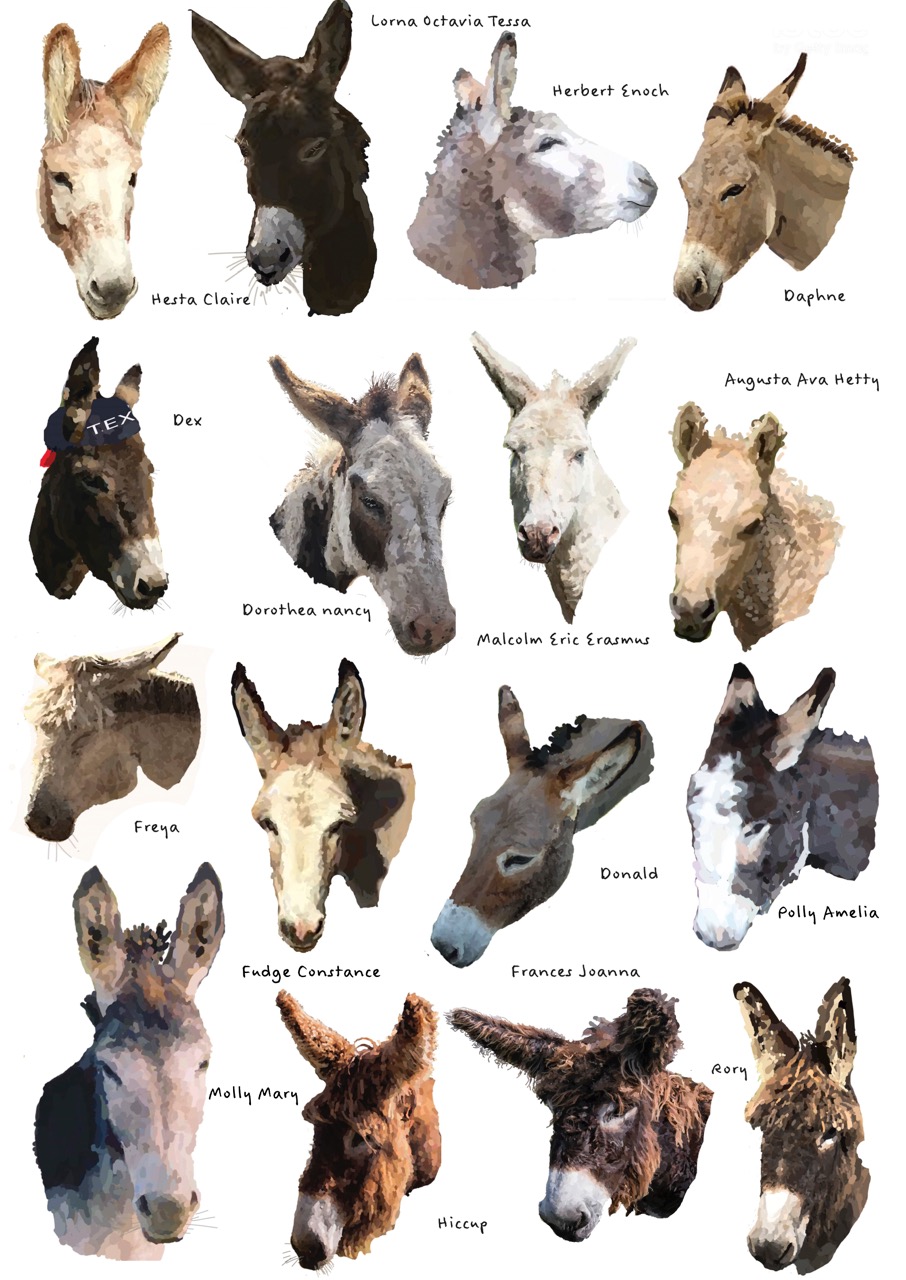 Who's Who
